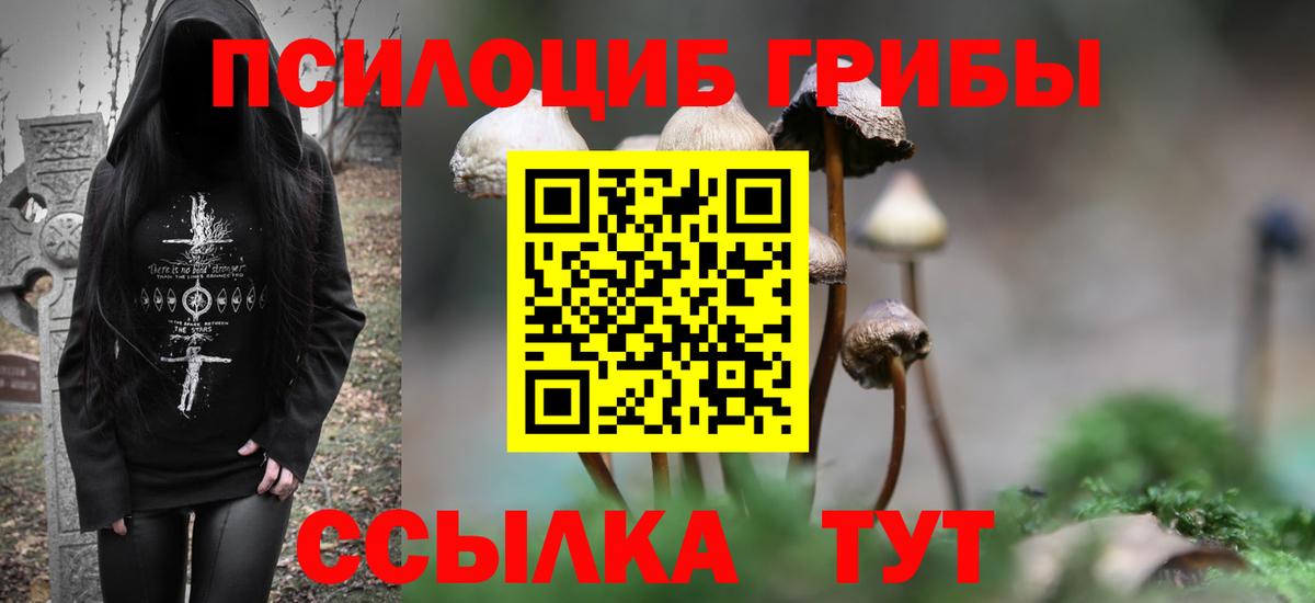 Грязи  Псилоцибиновые грибы Magic Shrooms  Вход с VPN 